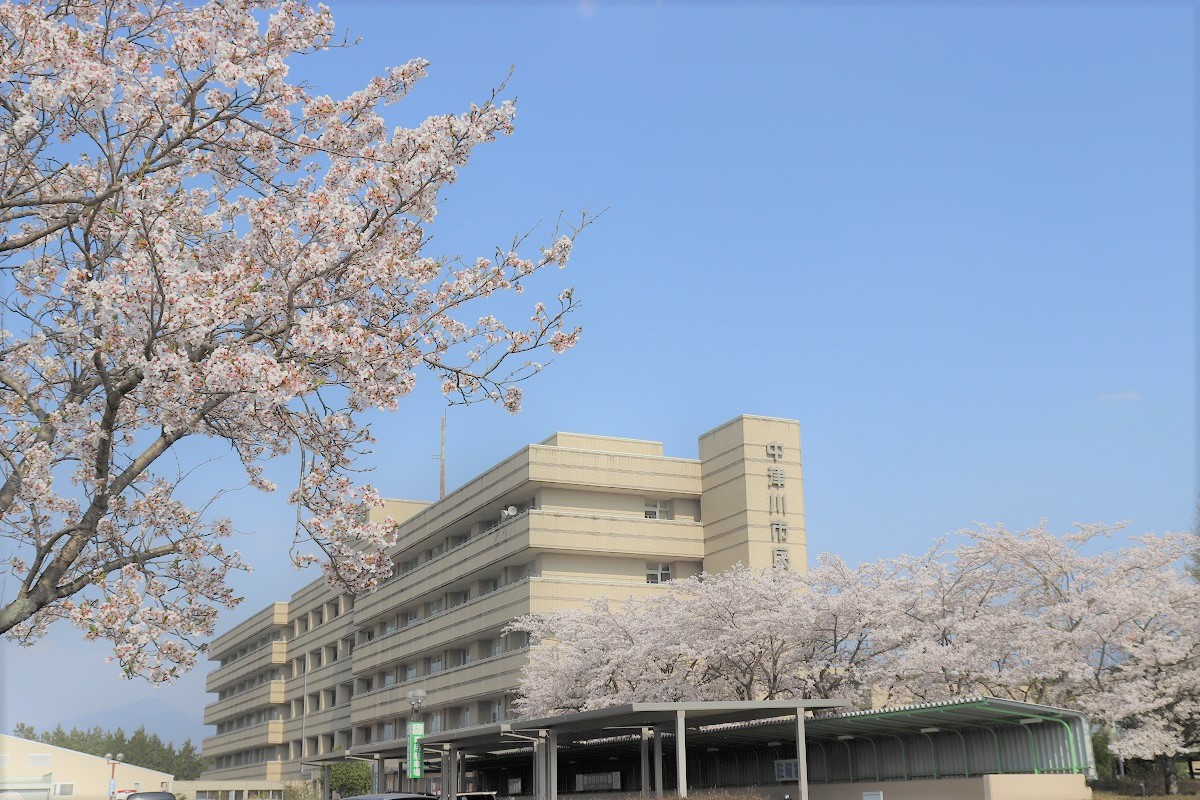 病院と桜.jpg